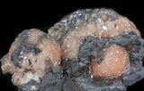 Pink Olmiite/Poldervaartite Cluster - South Africa #37749-2